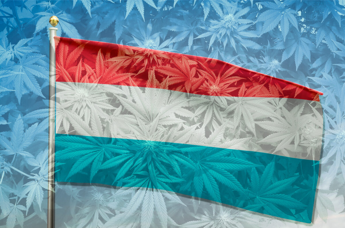 legalizacion cannabis luxembrugo
